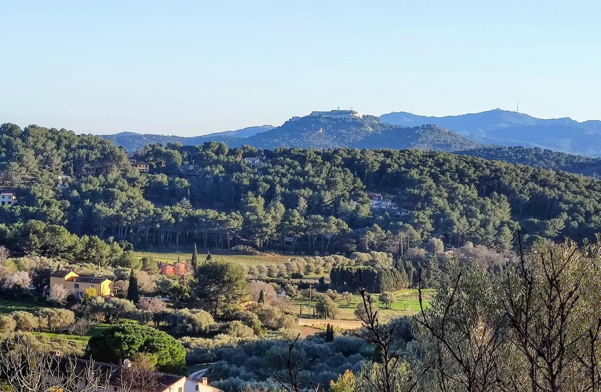 Villa Des Oliviers Sanary-sur-Mer Buitenkant foto