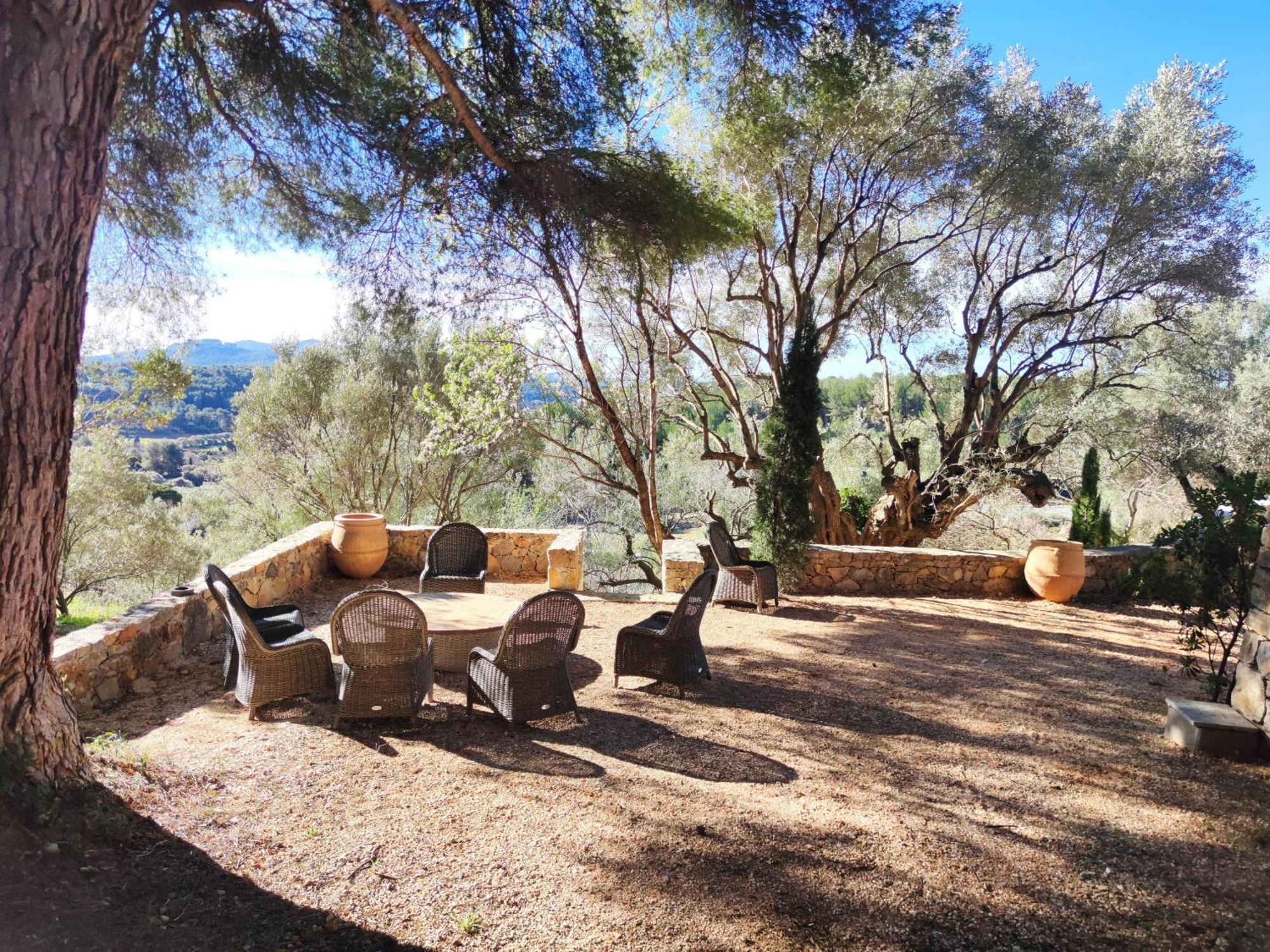 Villa Des Oliviers Sanary-sur-Mer Buitenkant foto