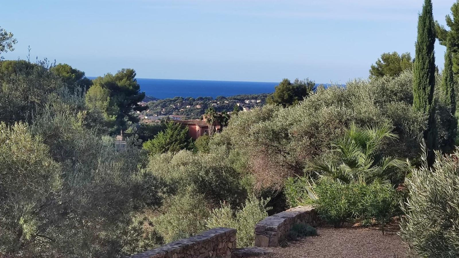 Villa Des Oliviers Sanary-sur-Mer Buitenkant foto